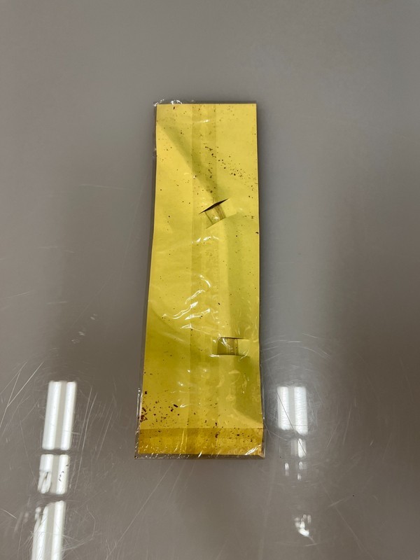 Vintage Hospital Plastic Drinking Tube NOS Eagle Pharmacy Medical RARE gallery