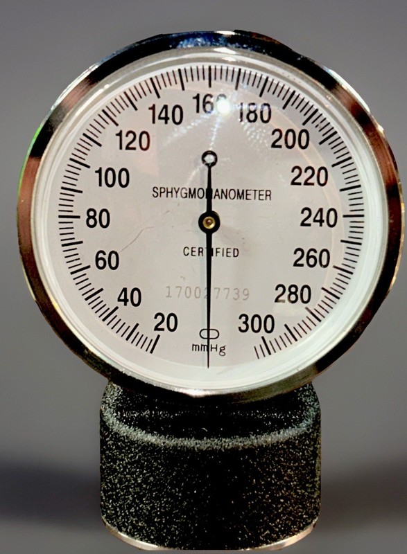Sphygmomanometer 0-300 mmHg Certified Gauge Only w/ Metal Spring Clip #179027739