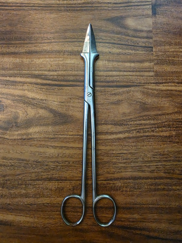 Smellie Perforator Stainless Steel Obstetric Embryotomy Destructive Tool