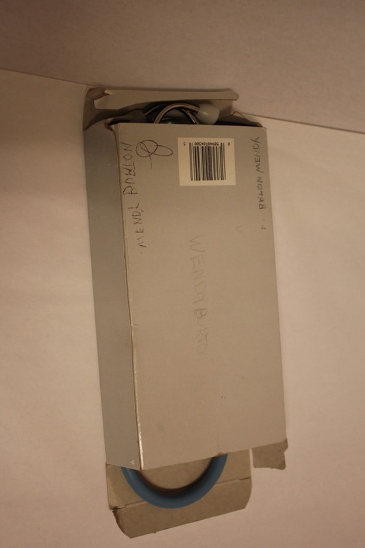 Labtron Nurses Stethoscope - Original Box light blue and silver gallery