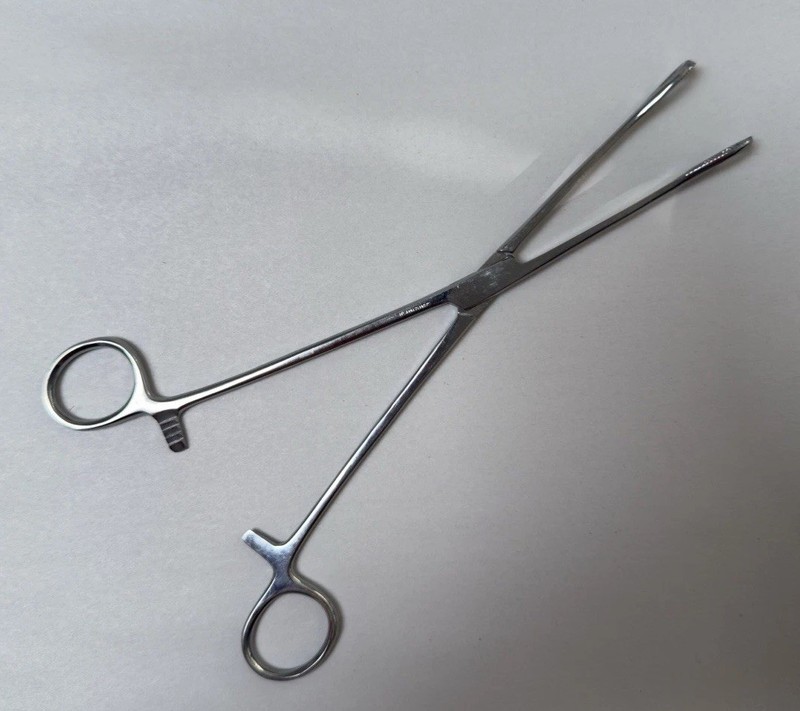 Stainless Pakistan Collins Tongue Seizing Forcep - 10”