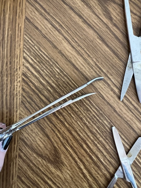 Vintage Lot (6) Scissors, Forceps gallery