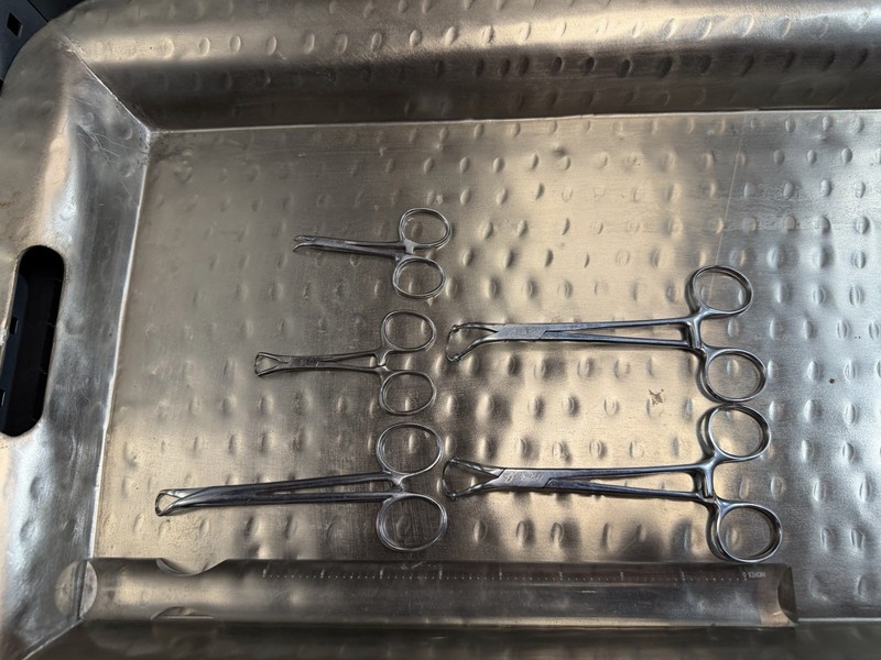 Vintage Surgical Instruments (1930-50s) Babcock Forceps, Clamps, Stitch Scissors gallery