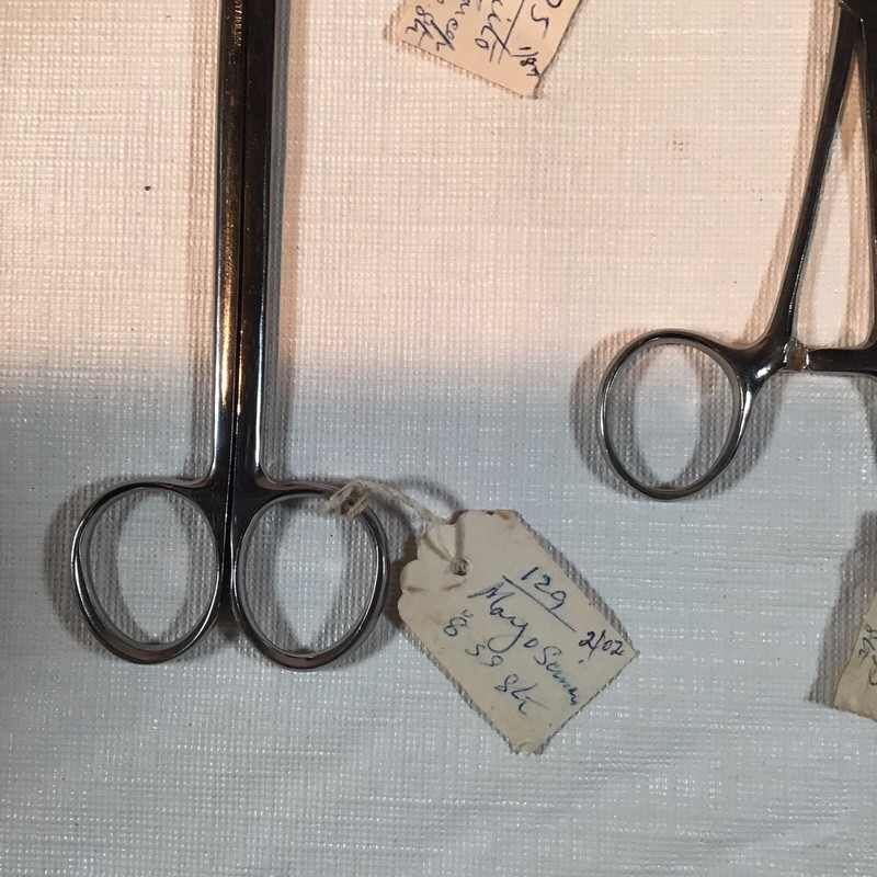 Vintage Stainless Steel Surgical Foreceps and Scissors Lot of 7 gallery