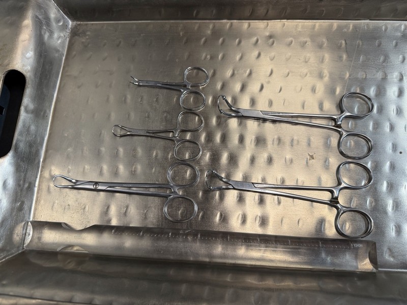 Vintage Surgical Instruments (1930-50s) Babcock Forceps, Clamps, Stitch Scissors gallery
