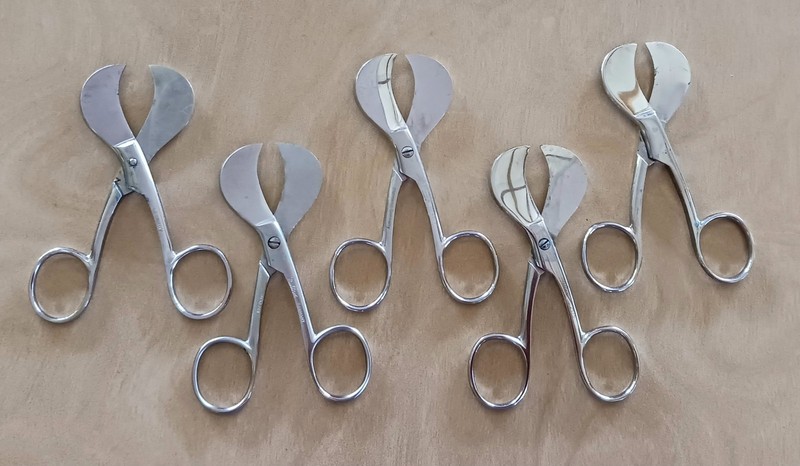 Vintage Collectible Antique Obstetric Gynecology Umbilical Cord Scissors 5 Pcs