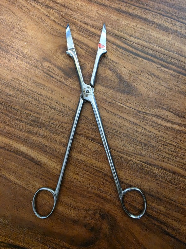 Smellie Perforator Stainless Steel Obstetric Embryotomy Destructive Tool gallery
