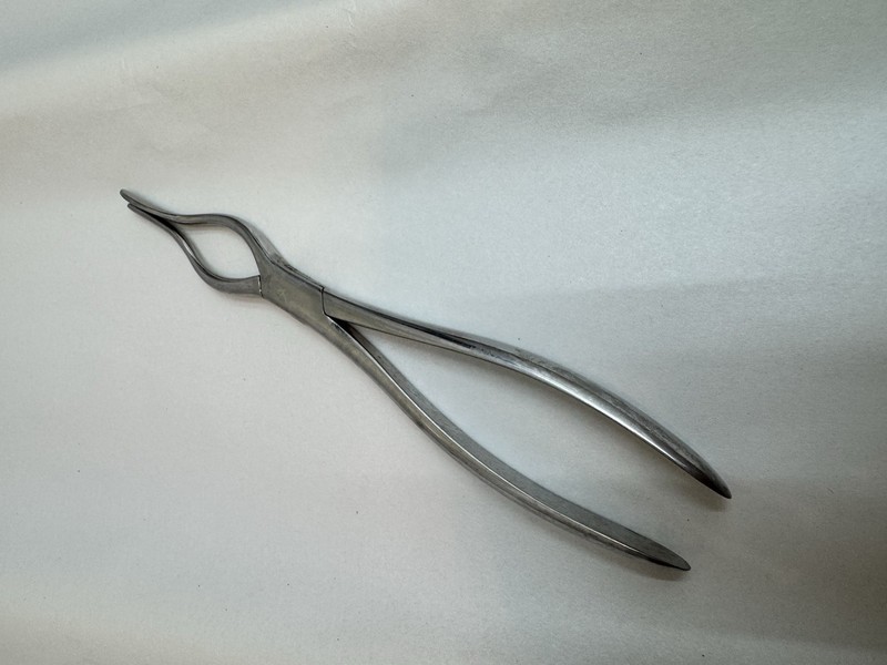 Mayer & Phelps Septum Straightening Forceps ENT Nasal Surgical Instrument gallery