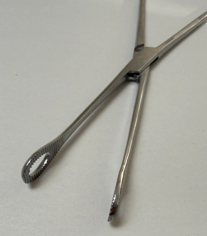 Stainless Pakistan Collins Tongue Seizing Forcep - 10” gallery