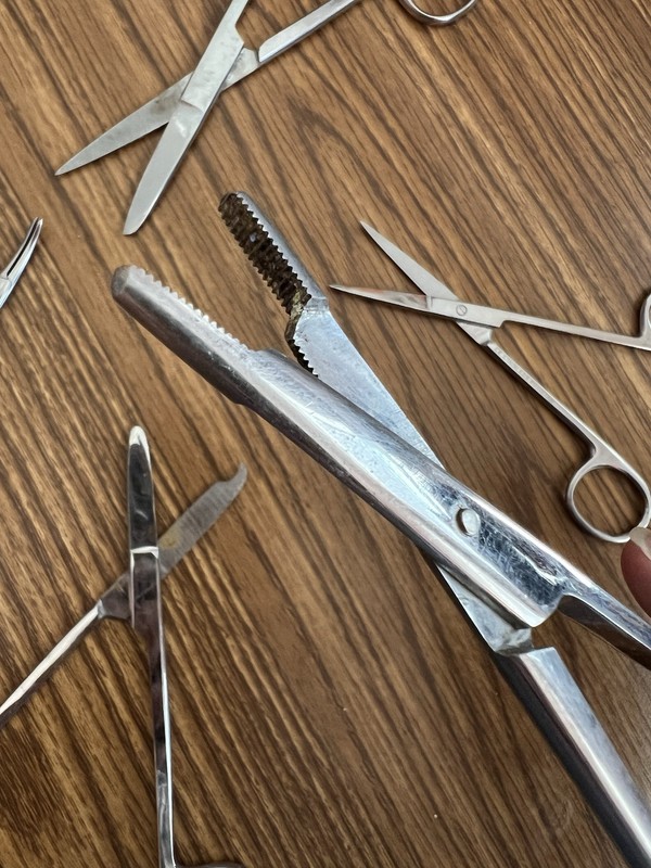 Vintage Lot (6) Scissors, Forceps gallery