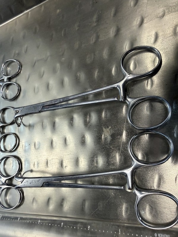 Vintage Surgical Instruments (1930-50s) Babcock Forceps, Clamps, Stitch Scissors
