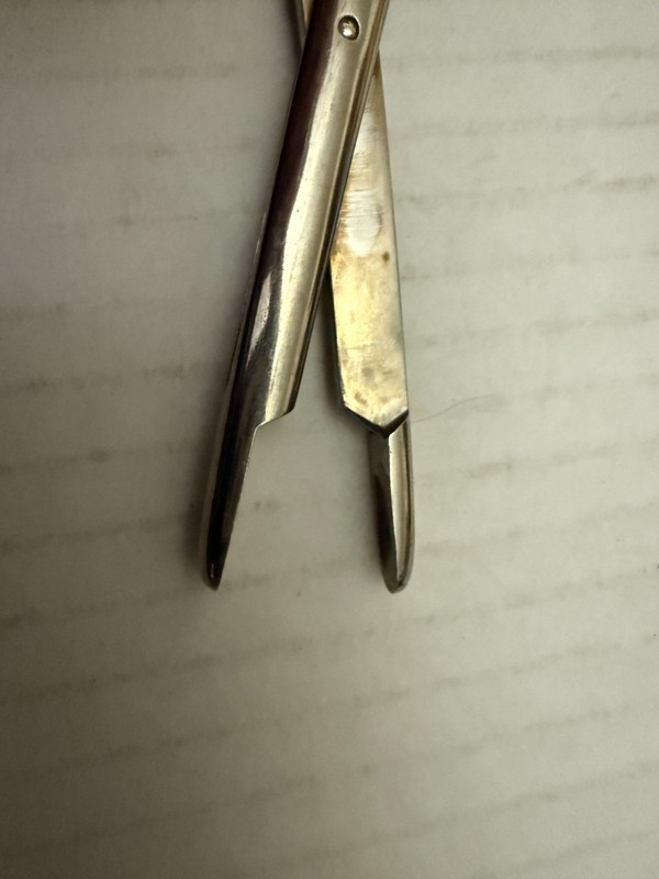 Vintage Knight Nasal Cutting Forceps or Septum Forceps ENT Doctor gallery