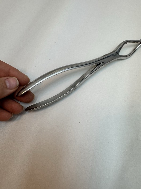 Mayer & Phelps Septum Straightening Forceps ENT Nasal Surgical Instrument gallery