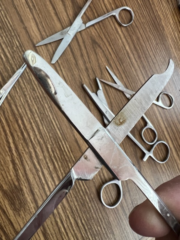 Vintage Lot (6) Scissors, Forceps gallery