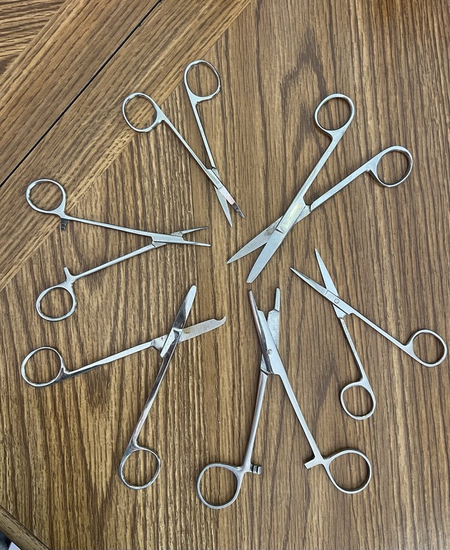 Vintage Lot (6) Scissors, Forceps