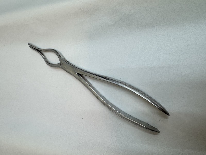 Mayer & Phelps Septum Straightening Forceps ENT Nasal Surgical Instrument