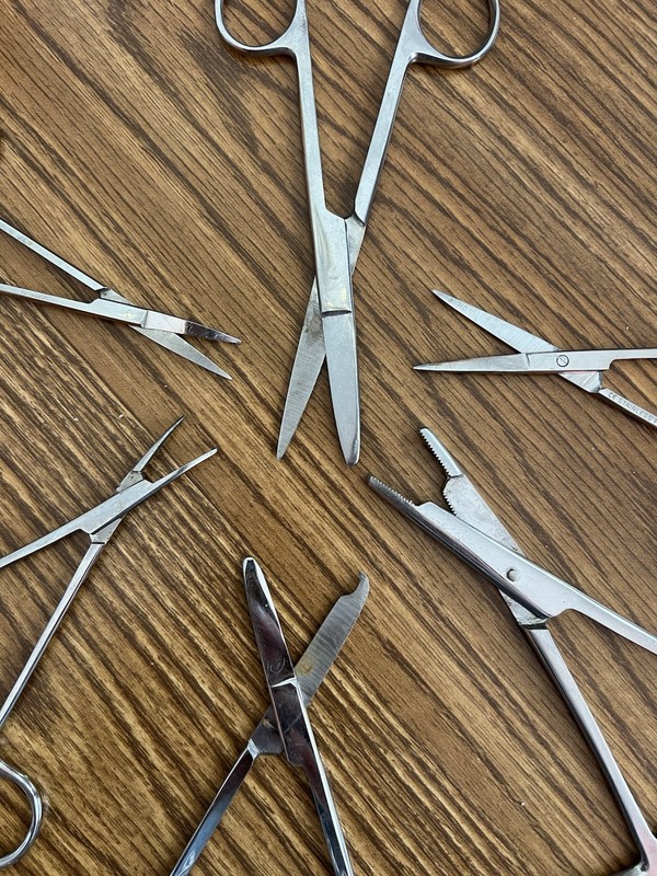 Vintage Lot (6) Scissors, Forceps gallery